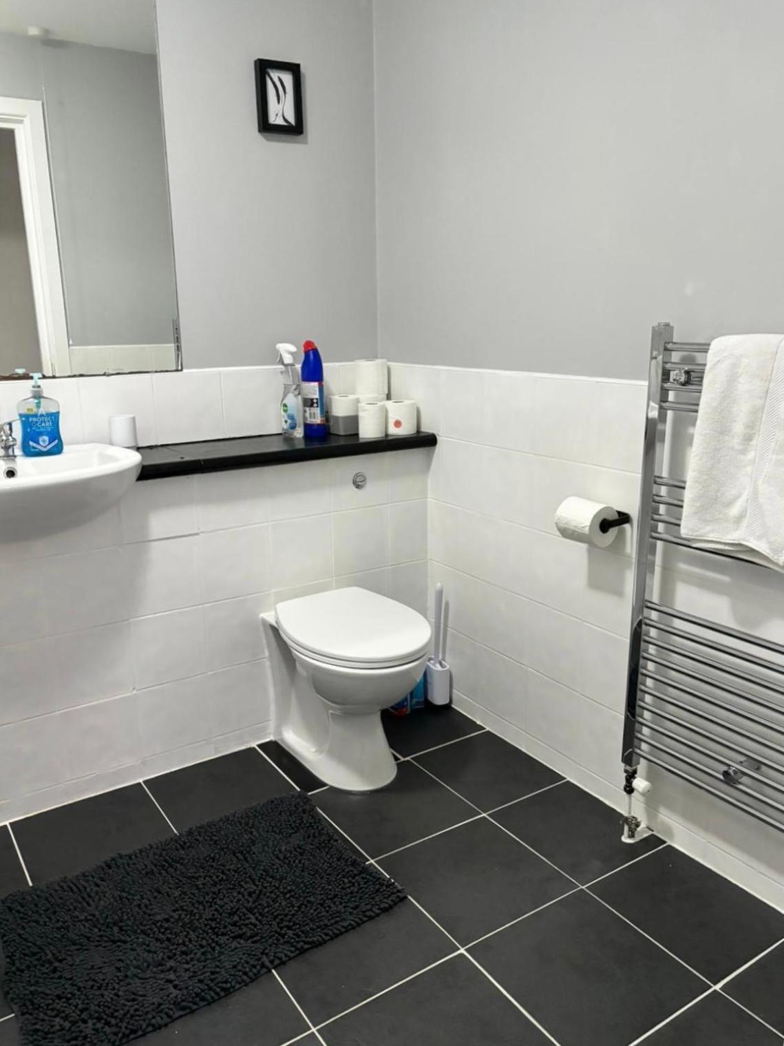 2 Bedroom Ground Floor Apartment Belfast Zewnętrze zdjęcie